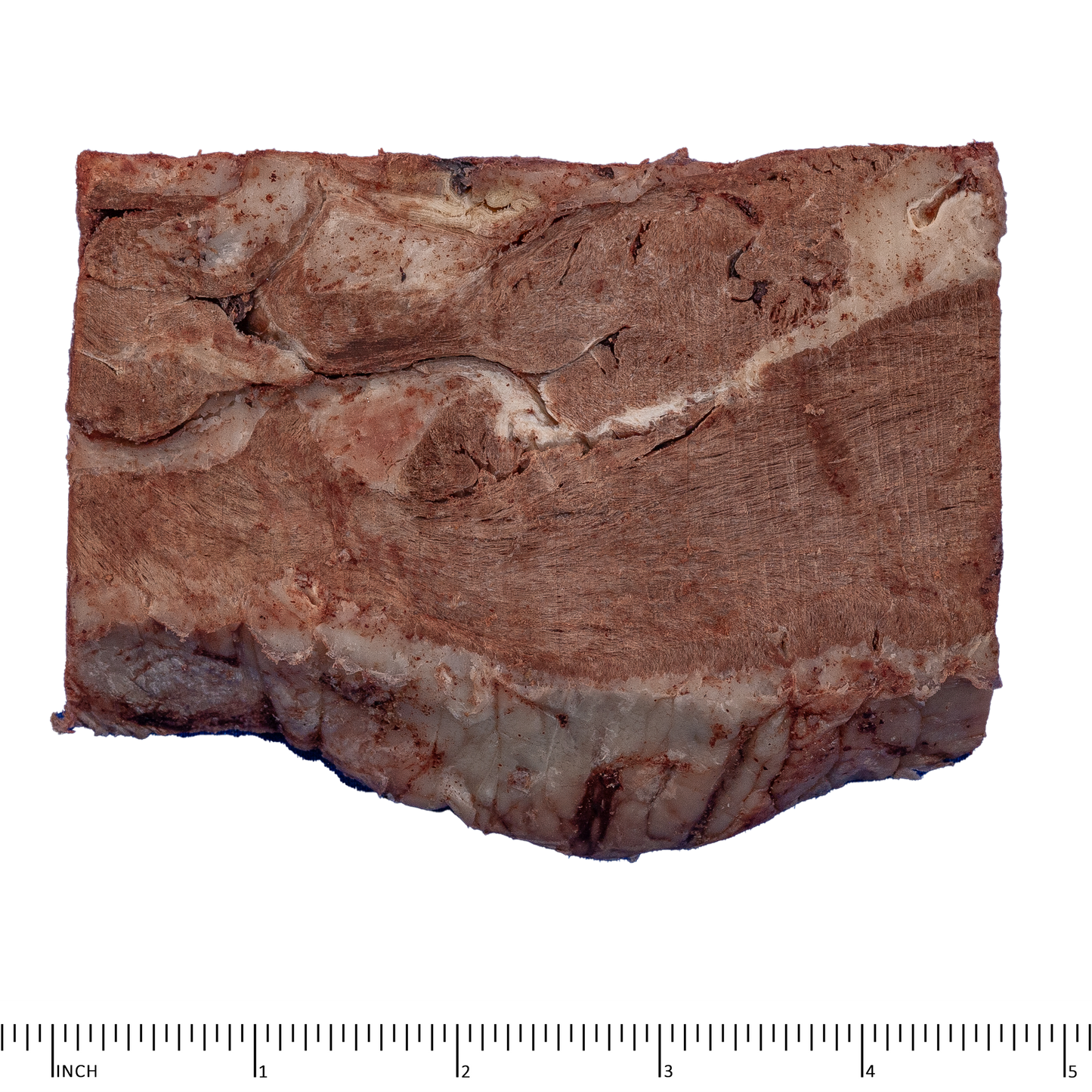 Archetype Treats Beef Heart