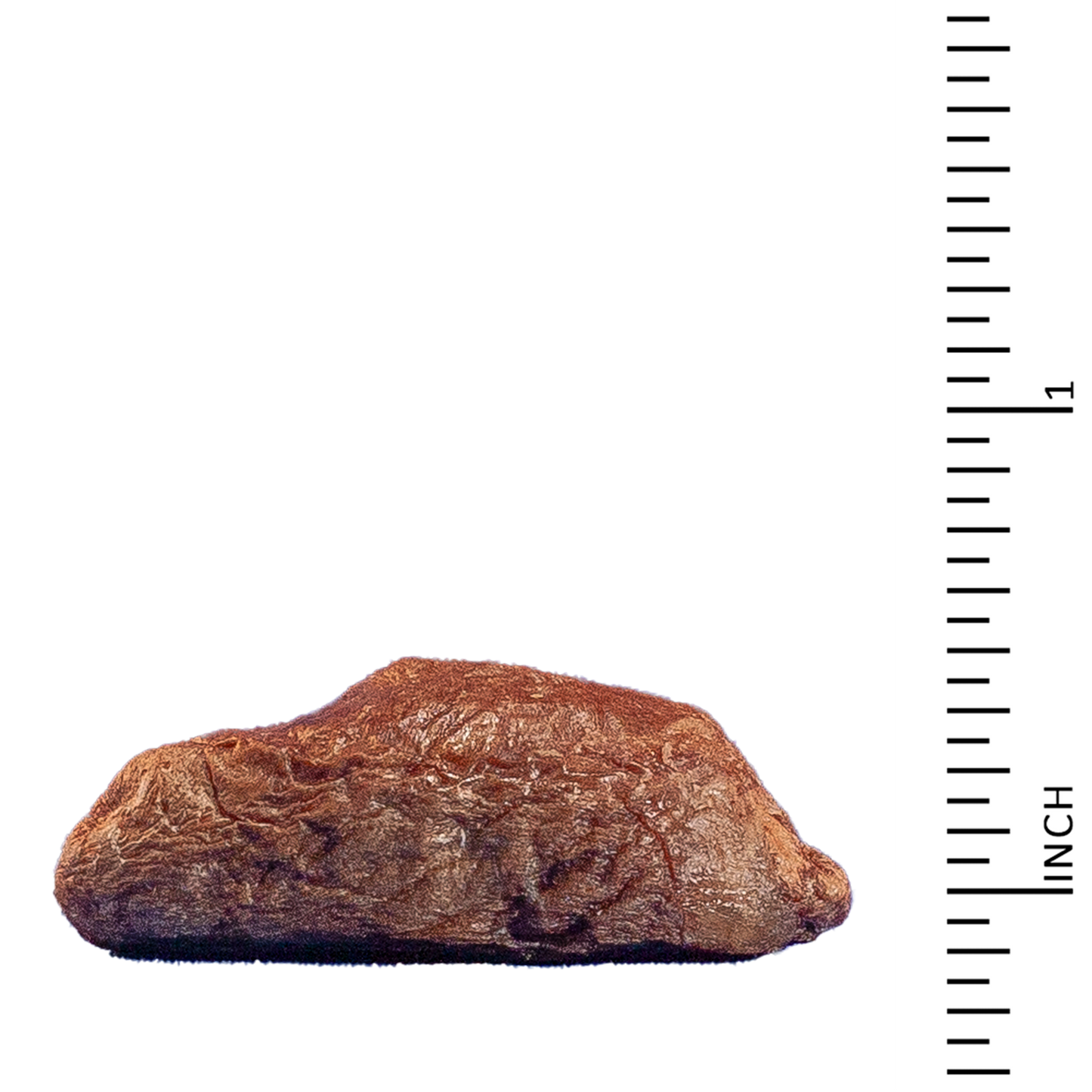 Archetype Treats Chicken Hearts