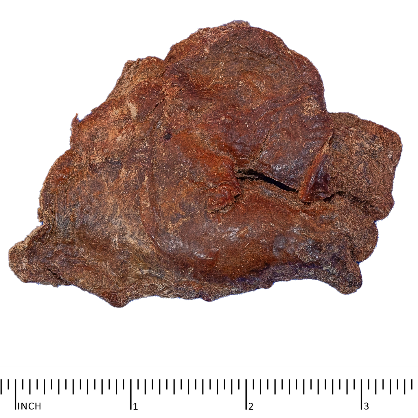 Archetype Treats Chicken Liver