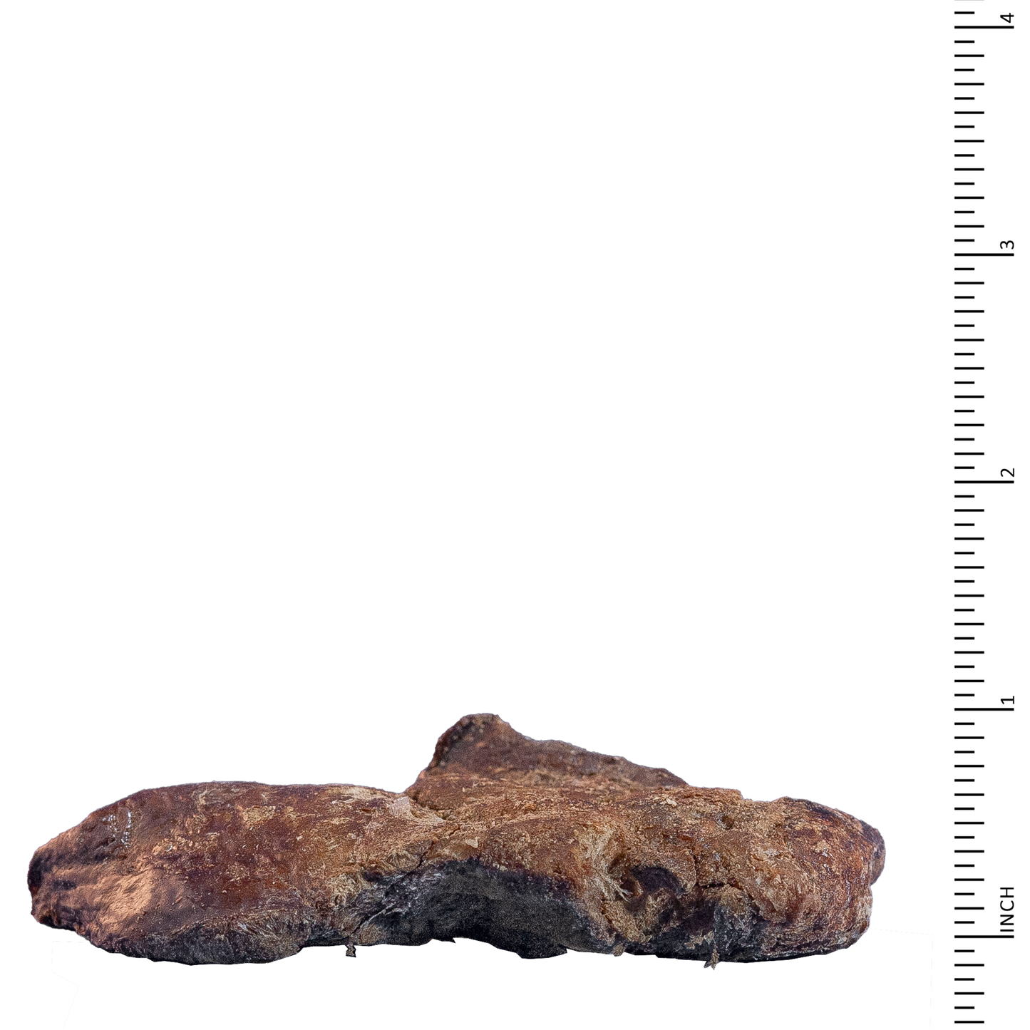 Archetype Treats Chicken Liver