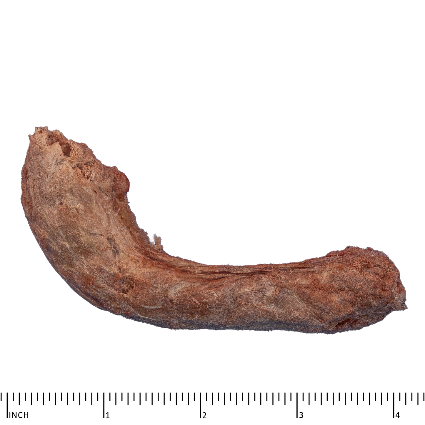 Archetype Treats Chicken Necks