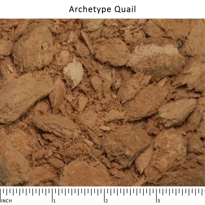 Archetype™ Quail