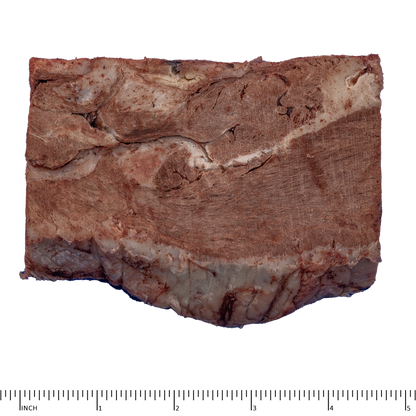 Archetype Treats Beef Heart