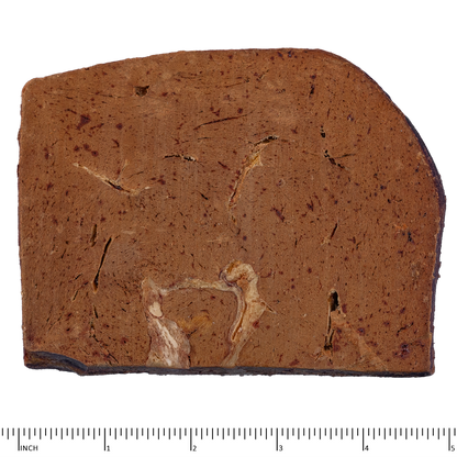 Ferret Archetype Treats Beef Liver