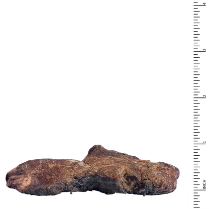 Archetype Treats Chicken Liver