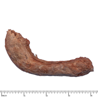 Archetype Treats Chicken Necks