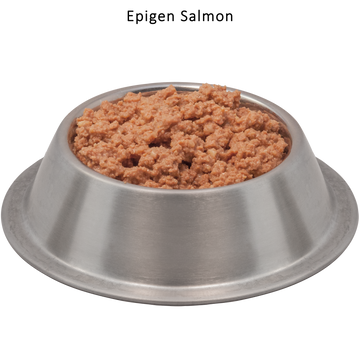 Epigen™ Salmon Starch Free™ Canned Dog & Cat Food | Wysong