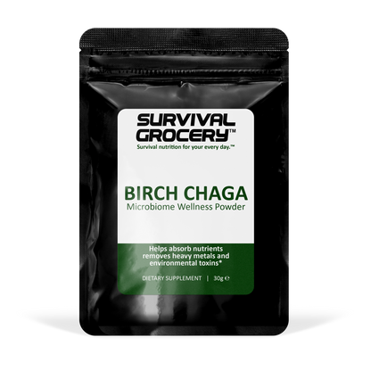 Birch Chaga Microbiome Wellness Powder