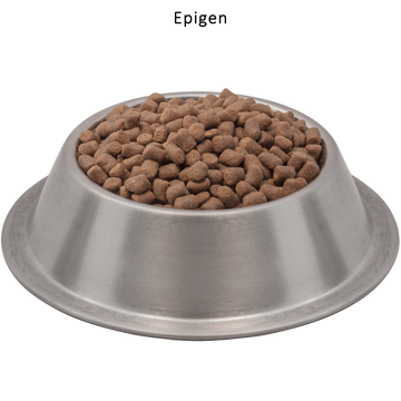 Starch free dog food best sale