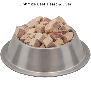Wysong wet cat food sales