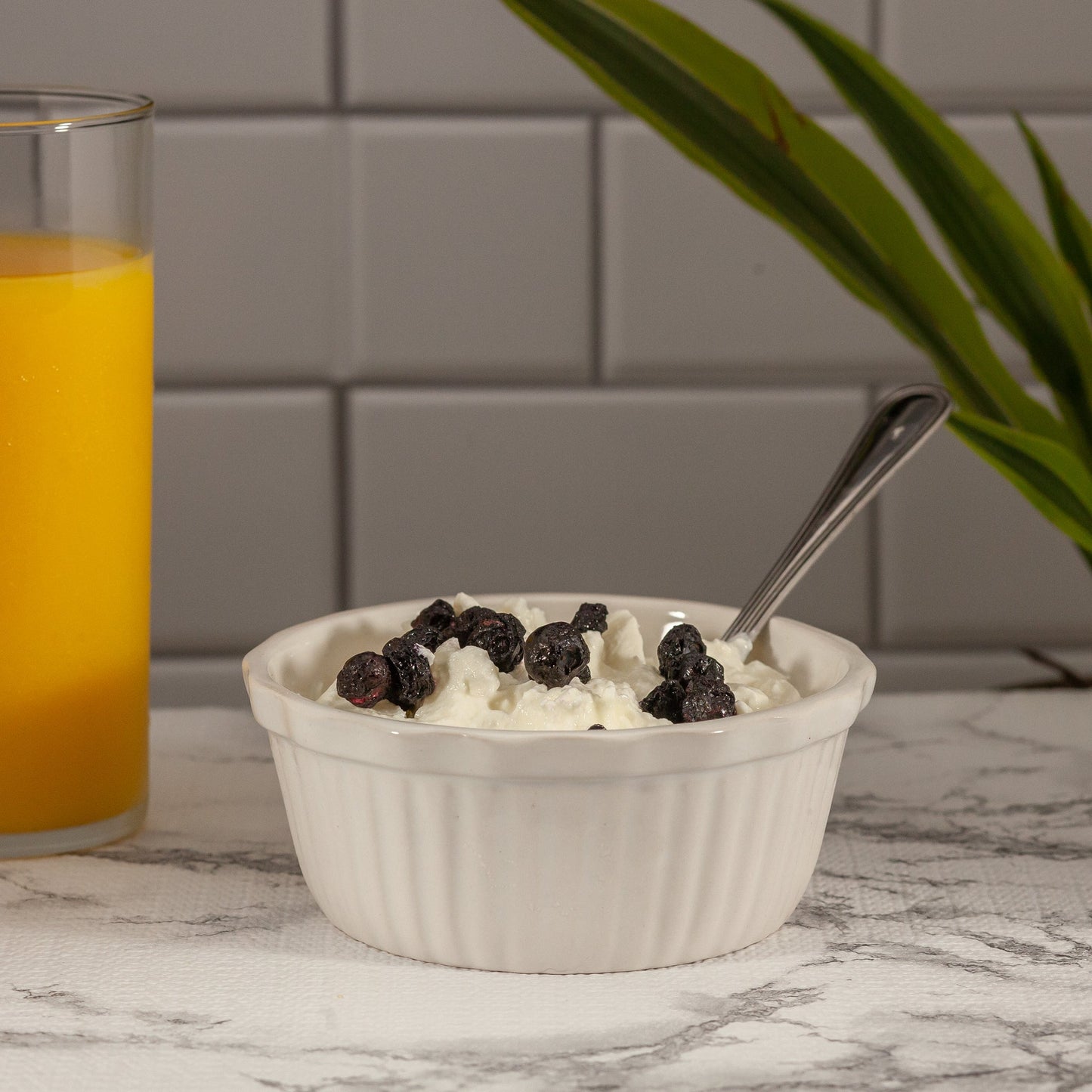 Freeze Dried Blueberries in a bowl of yogurt