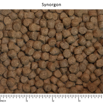 Wysong synorgon dry dog food online