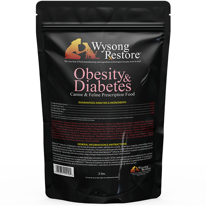 Wysong ℞estore™ Obesity & Diabetes