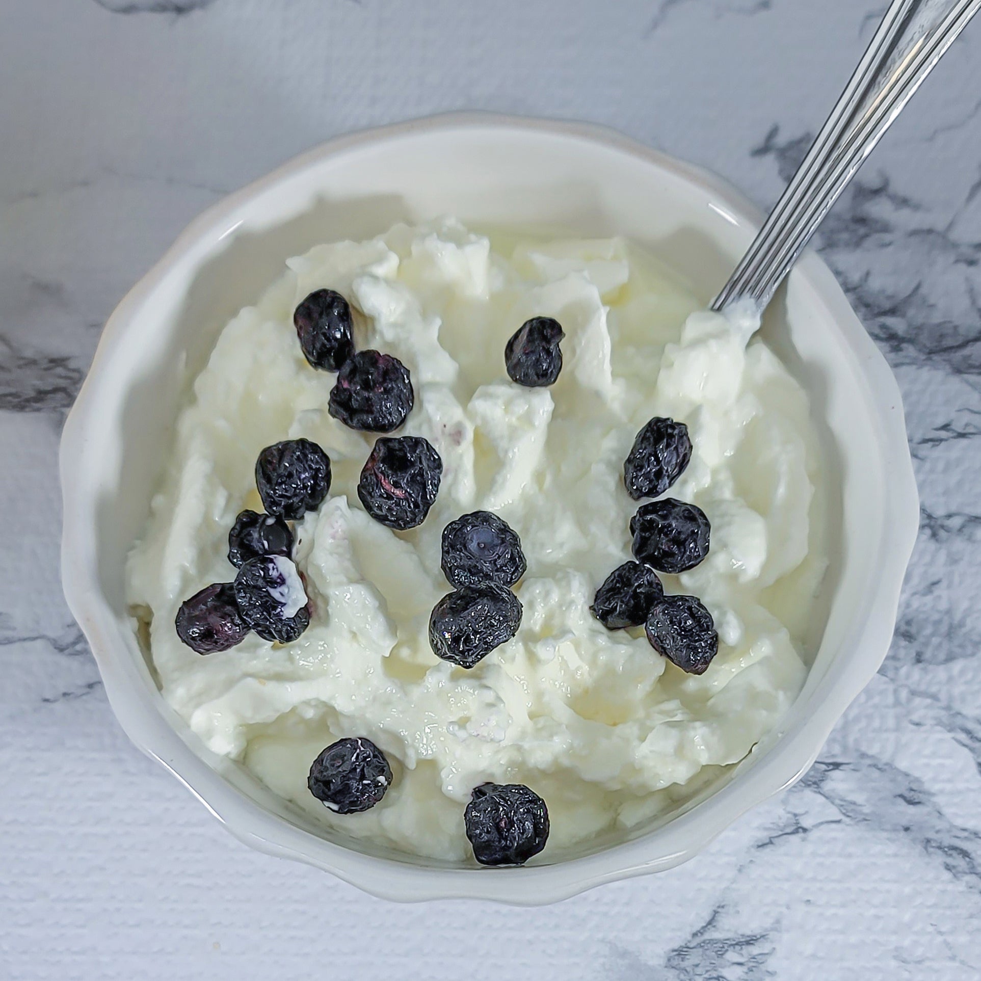 Freeze Dried Blueberries and yogurt mix